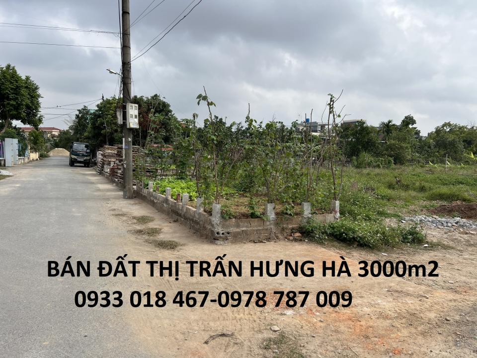 Bán đất xã tây đô, hưng hà, thái bình trục huyện 3000m2-0933018467-0978787009-2